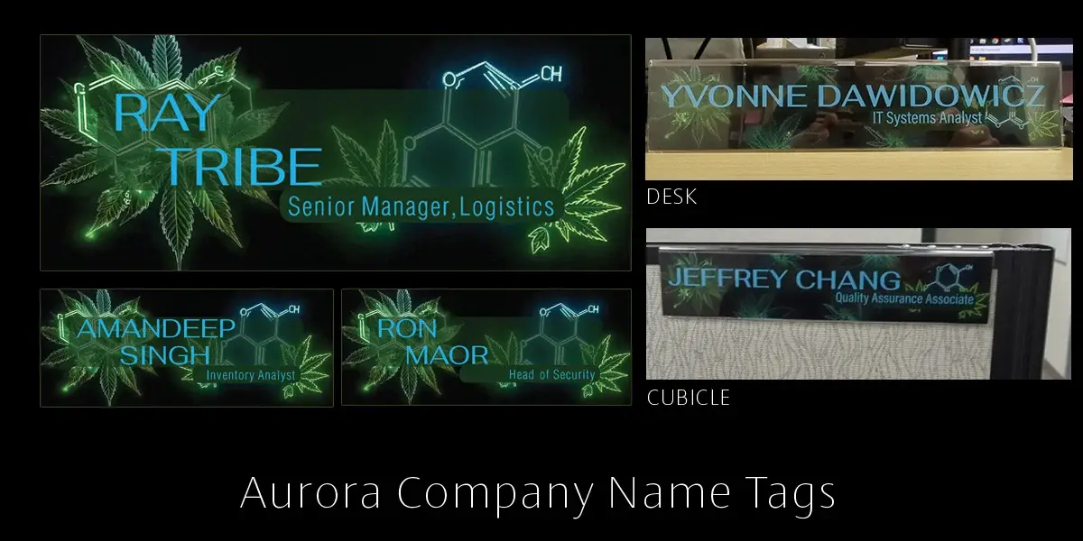 Professional Printed Graphic Design for Company Name Tags