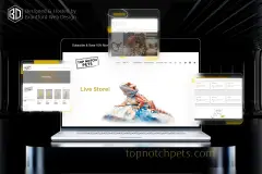 image-slider-with-thumbnail2.jpeg